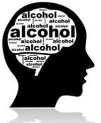 Alcohol rewires the brain